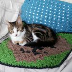 Free C-to-C cat blanket chart - Crochet Cloudberry
