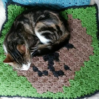 Free C-to-C cat blanket chart - Crochet Cloudberry