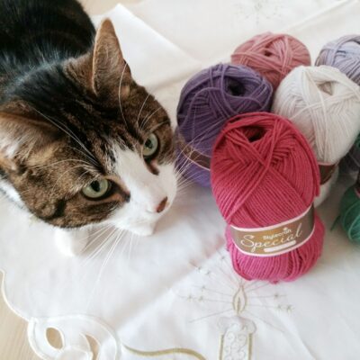 2023 Crochet Blanket - free crochet pattern - Crochet Cloudberry